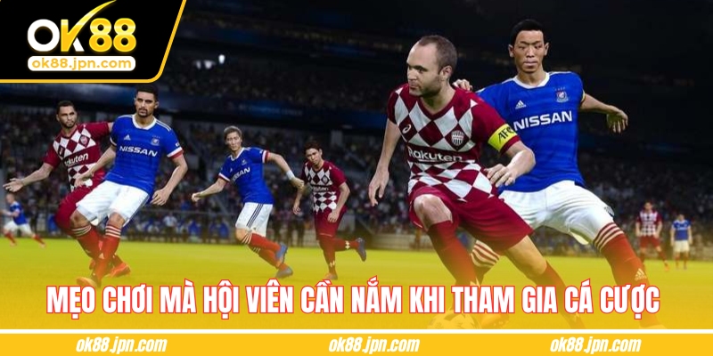 Top các mẹo chơi mà hội viên cần nắm khi tham gia cá cược 