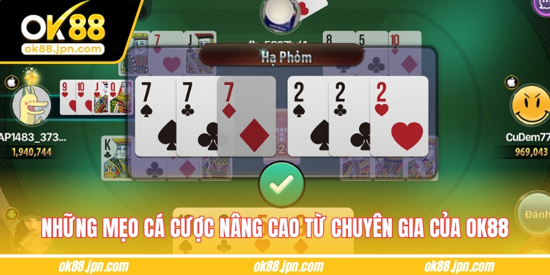 Những mẹo cá cược nâng cao từ chuyên gia của OK88