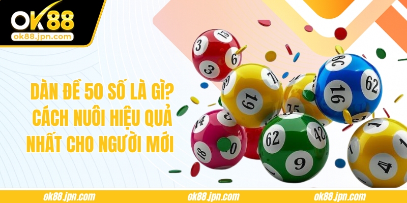 Dàn Đề 50 Số Là Gì? Cách Nuôi Hiệu Quả Nhất Cho Người Mới