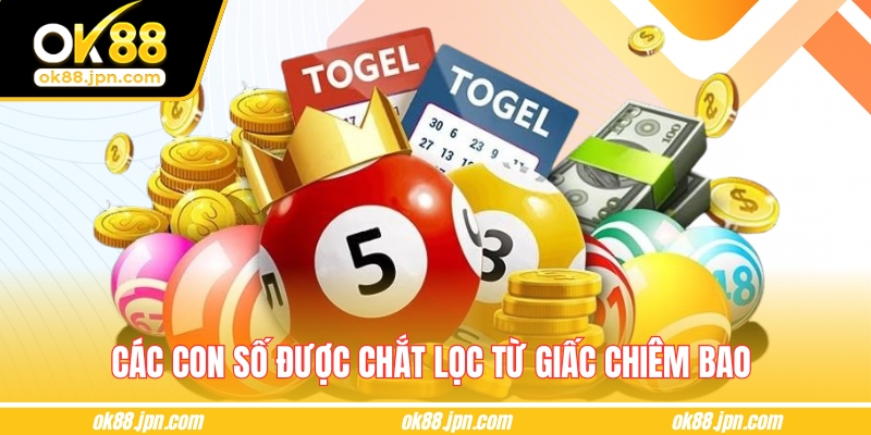 Các con số được chắt lọc từ giấc chiêm bao 
